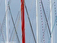 Solitaire Afflelou - Le Figaro 2006  à Cherbourg-Octeville / photo : Eric Le Dû